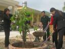 can bo thon trong cay.jpg - 