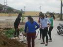 giao vien trong cay.jpg - 
